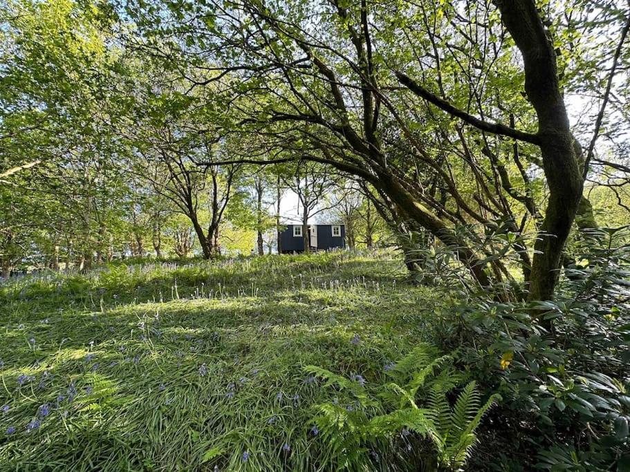 Cornwall Woodland Shepherd'S Hut - Dennis Hut Бодмін Екстер'єр фото